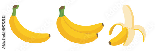 Fresh yellow bananas vector images in various stages single banana bunch of banana and peeled banana, healthy fruit snack concept clean vector illustration