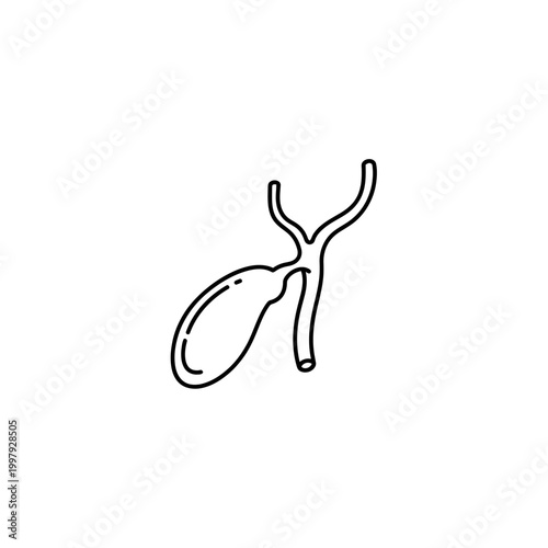Human gallbladder anatomy line drawing, medical illustration for educational use, anatomy diagram