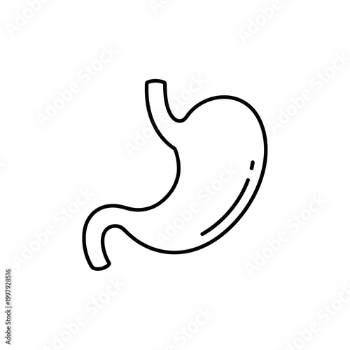 Stomach organ anatomy line icon, digestive system health, medical biology, gastroenterology, human body part