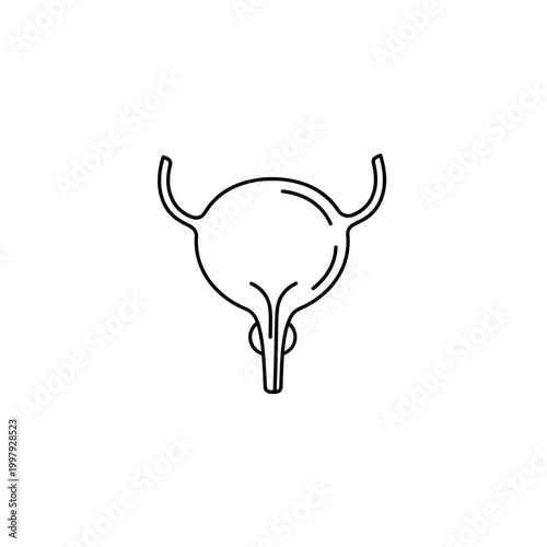 Black outline icon of human bladder system, medical anatomy diagram, urology health, urinary tract