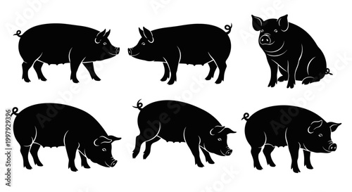 Set of Black Pig Silhouettes in Various Poses