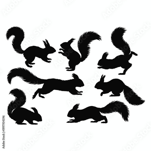 Black squirrel silhouettes in various poses animal