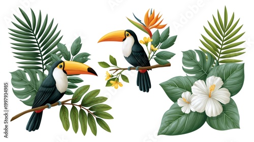 Tropical toucans sitting on branches with exotic flowers
