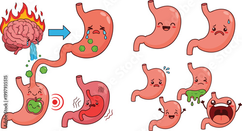 Cute cartoon stomach character vector set with various emotions and health conditions like hunger, pain, nausea, and stress for medical infographics and digestive health education.
