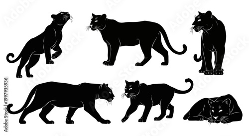 Black Panther Silhouette Set, Wild Big Cat Poses Vector Illustration
