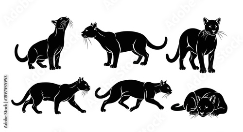 Black Panther Silhouettes Set in Various Poses