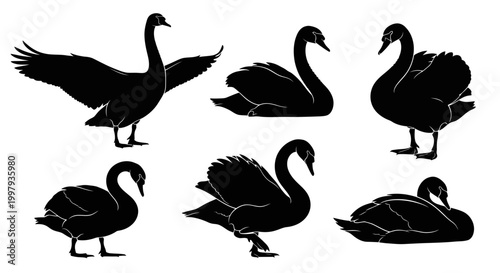 Black Swan Silhouette Collection in Various Poses on White Background