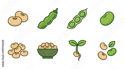 Assortment of healthy soybeans, fresh green pods, and sprouting seedlings representing agricultural cultivation and nutrition