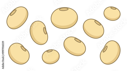 Multiple light beige soybean seeds arranged in a simple pattern to represent a healthy organic plant based protein source for a vegan diet