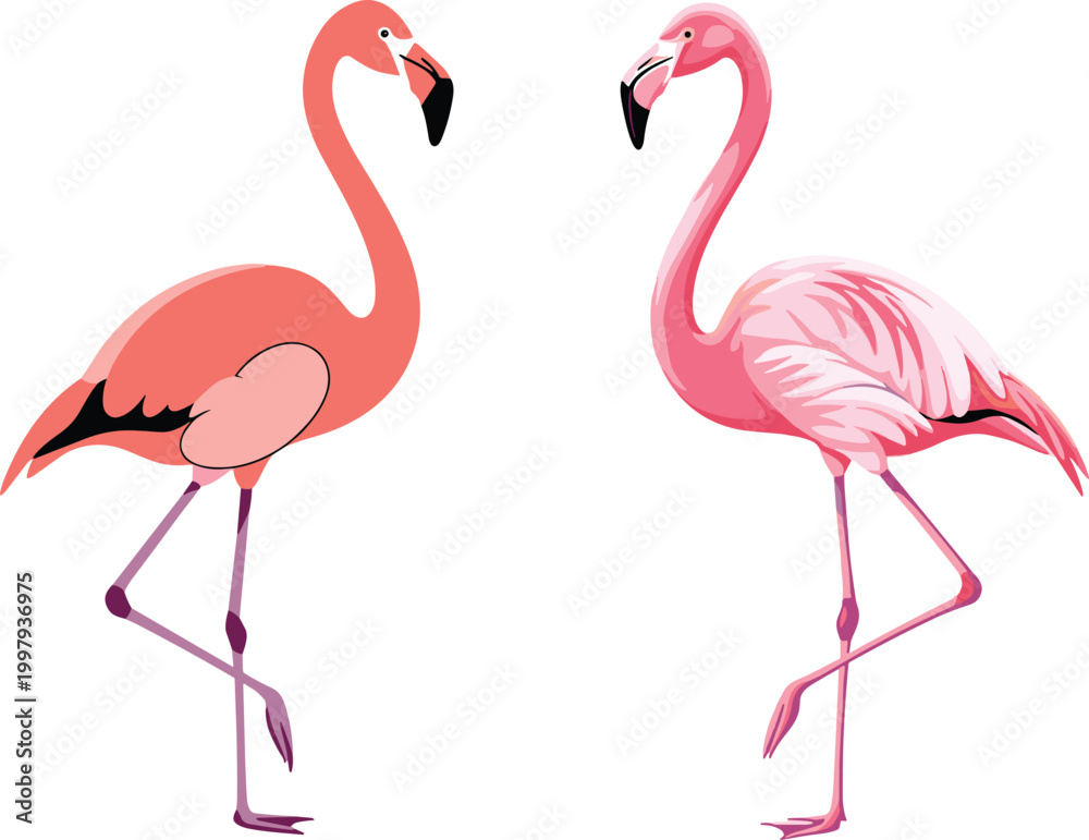 Fototapeta premium Beautiful pink flamingo bird vector set in various shades and poses for tropical summer vacation themes, exotic wildlife nature illustrations, and elegant zoo animal designs isolated on white 