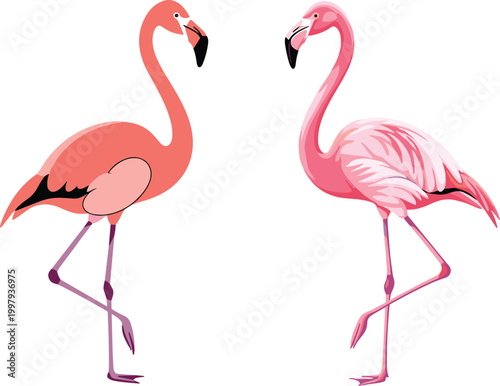 Beautiful pink flamingo bird vector set in various shades and poses for tropical summer vacation themes, exotic wildlife nature illustrations, and elegant zoo animal designs isolated on white 