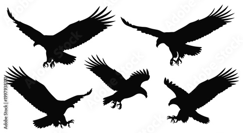 A collection of five black eagle silhouettes in various dynamic flight poses silhouette