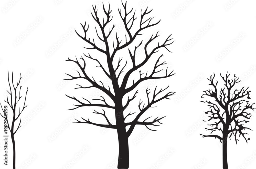 Obraz premium Vector silhouette of tree.
