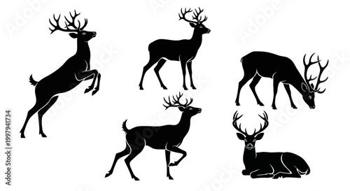 Deer Silhouettes Collection: Majestic Stag Poses - Jumping, Standing, Grazing, Resting