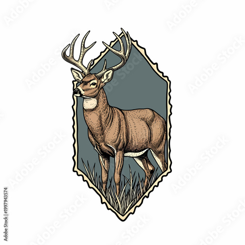Vintage whitetail deer buck standing in grass field retro badge style illustration