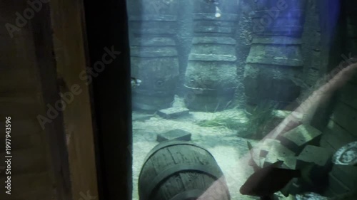 Underwater shipwreck barrels with fish swimming in blue aquarium light