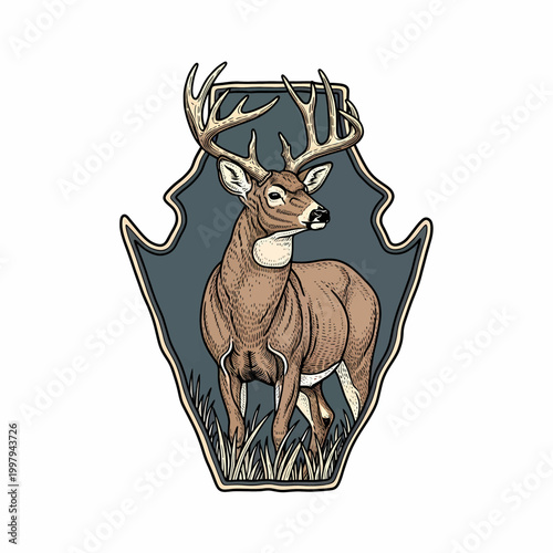 Vintage whitetail deer buck standing in grass field retro badge style illustration