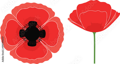 Set of Poppy Flower Icons with Red Petals and Black Center for Botanical Design, Nature Illustration, and Floral Art Concepts