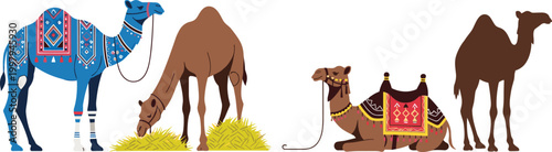 Colorful Decorated Camel with Saddle and Different Poses Flat Vector Illustration Set with Arabian Desert Animal Traditional Culture Collection