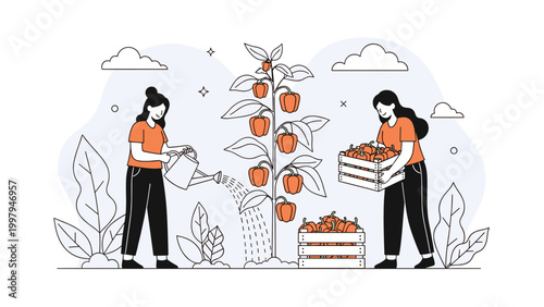 Two young women working together to water and harvest fresh orange bell peppers from a large plant in a home garden setting.