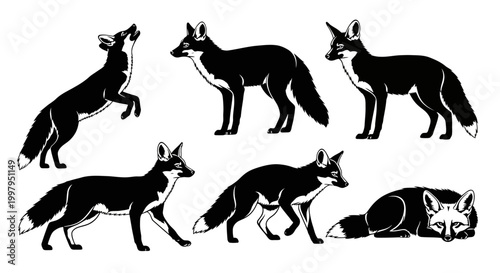 Fox silhouettes in various poses ? collection of wild animal icons