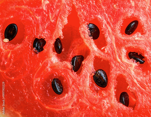 Ultra macro watermelon flesh with seeds and crystalline texture, exotic freshness concept