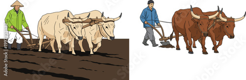 Traditional Asian Farmer Plowing Field with Ox Bull Team Agriculture Rural Farming Scene Vector Illustration Set