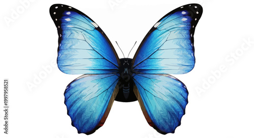 Photos Vibrant blue morpho butterfly with wings spread isolated on white background