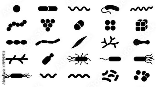 Microorganism silhouette icons A diverse collection of bacterial and cellular shapes for science