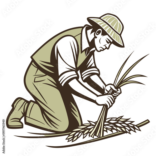 Farmer binding wheat kneeling agriculture