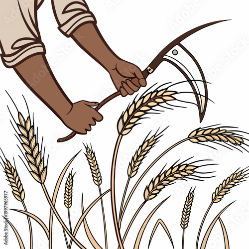Hands holding scythe and cutting wheat harvesting agriculture