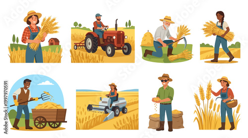 Diverse farmers harvesting golden wheat crops using traditional and modern agricultural machinery in sunny fields.
