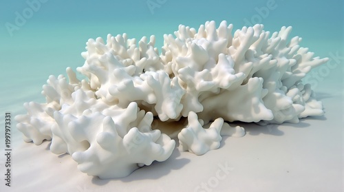 Exotic White Coral Structure on Sandy Seabed in Clear Tropical Water