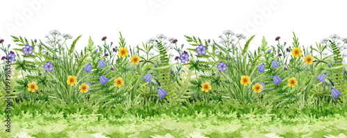 Meadow wildflowers and grass seamless border hand drawn watercolor botanical illustration clipart, natural summer field backdrop with herbs and blooms png, isolated on transparent background.