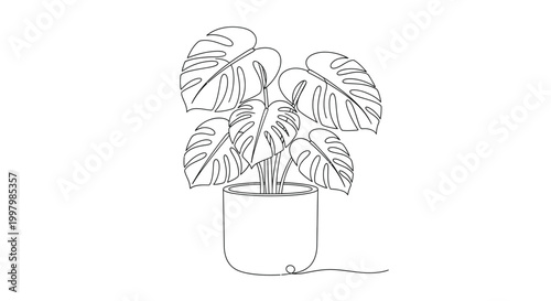 Minimalist line art depicts a monstera deliciosa plant growing in a simple rounded pot