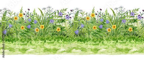 Meadow wildflowers and grass seamless border hand drawn watercolor botanical illustration clipart, natural summer field backdrop with herbs and blooms isolated on transparent background.