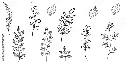 Hand Drawn Botanical Leaf Flower Plant Icon Set Line Art Vector