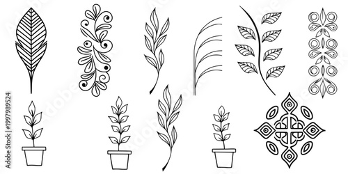 Hand Drawn Botanical Leaf Flower Plant Icon Set Line Art Vector