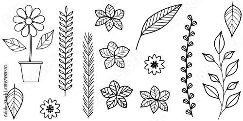 Hand Drawn Botanical Leaf Flower Plant Icon Set Line Art Vector