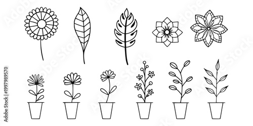 Hand Drawn Botanical Leaf Flower Plant Icon Set Line Art Vector