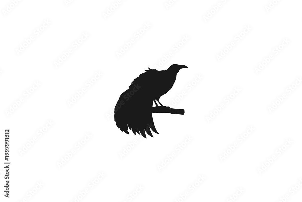 Fototapeta premium Black bird or raven silhouette perched on a branch