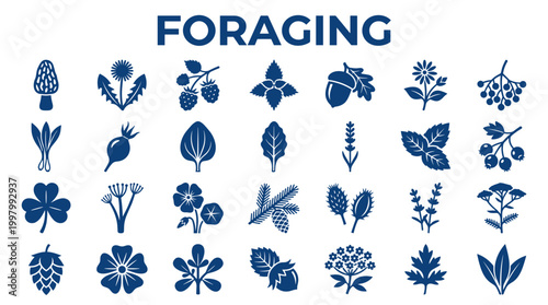 Foraging concept with various edible plants and mushrooms illustrated in a clean blue and white graphic style for healthy eating and nature exploration