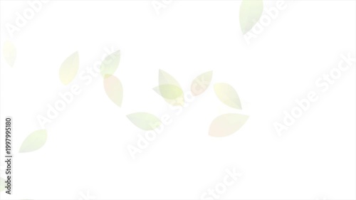 Summer and spring flying green leaves on white background. Seasonal motion design. Video animation Ultra HD 4K 3840x2160