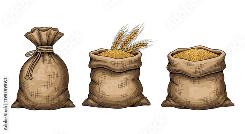 Three rustic burlap sacks filled with golden grain and wheat ears illustrated in vintage woodcut style for agricultural food concepts.