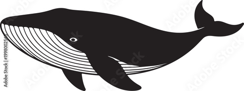 Minimalist humpback whale silhouette swimming side view, elegant marine mammal vector shape, clean black ocean wildlife illustration isolated on white background