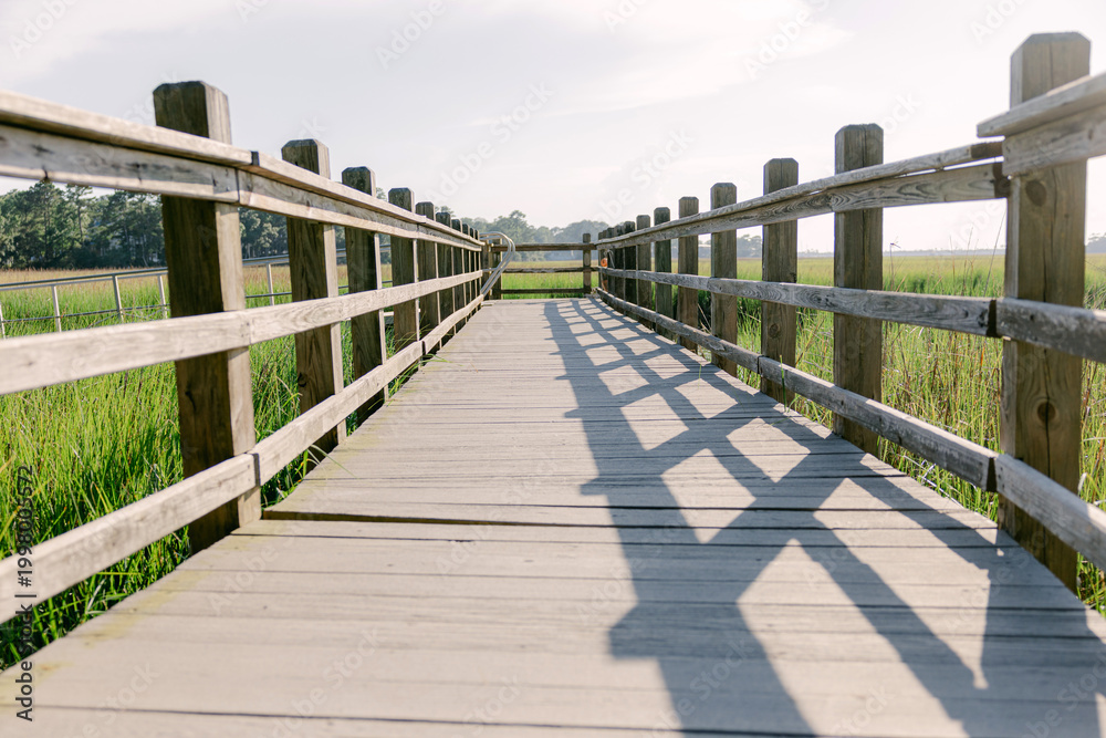Obraz premium Boardwalk Leading Into Marsh wetland