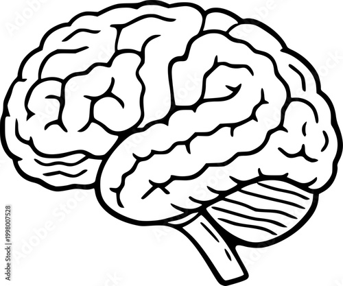 human brain vector illustration