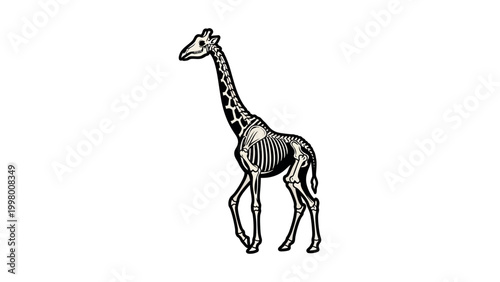 Canvas Print An illustration of a giraffe skeleton standing alone in a neutral environment