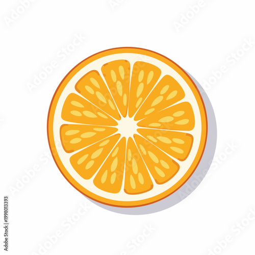Illustration of a Fresh Orange Slice