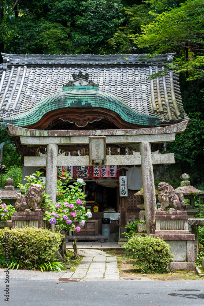 Fototapeta premium Yoshimizu Sarasvati Tendo Shrine. Hydrangeas are blooming. Kyoto, Japan.